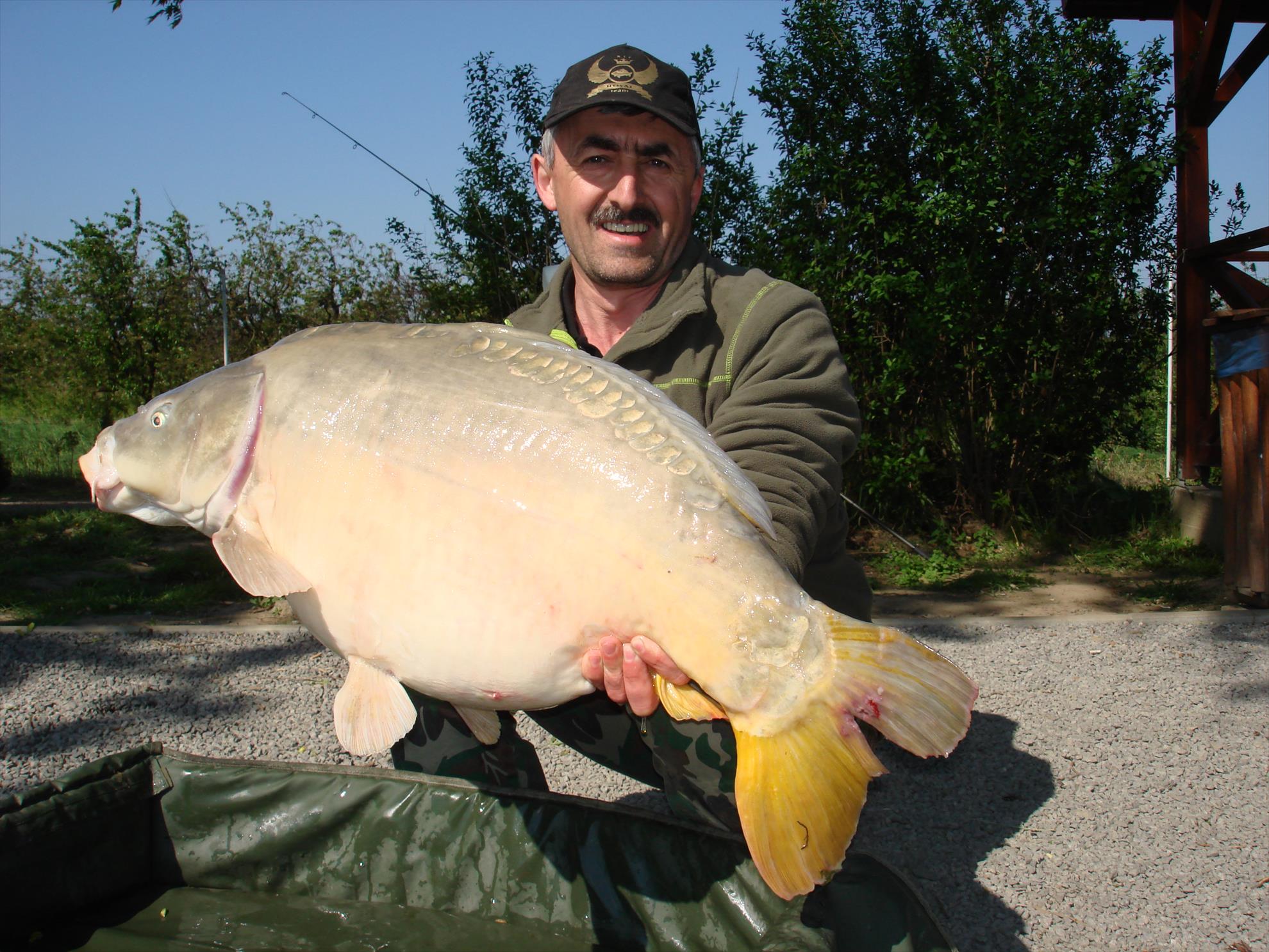 pescuit pe o balta superba - dsc06524.JPG